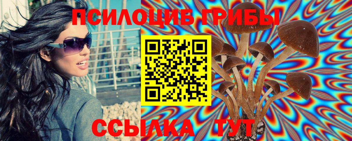 Карачаевск  Псилоцибиновые грибы Psilocybe  Вход с VPN 