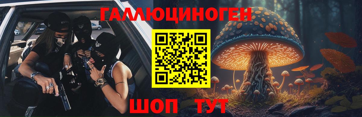 Галлюциногенные грибы прущие грибы Карачаевск