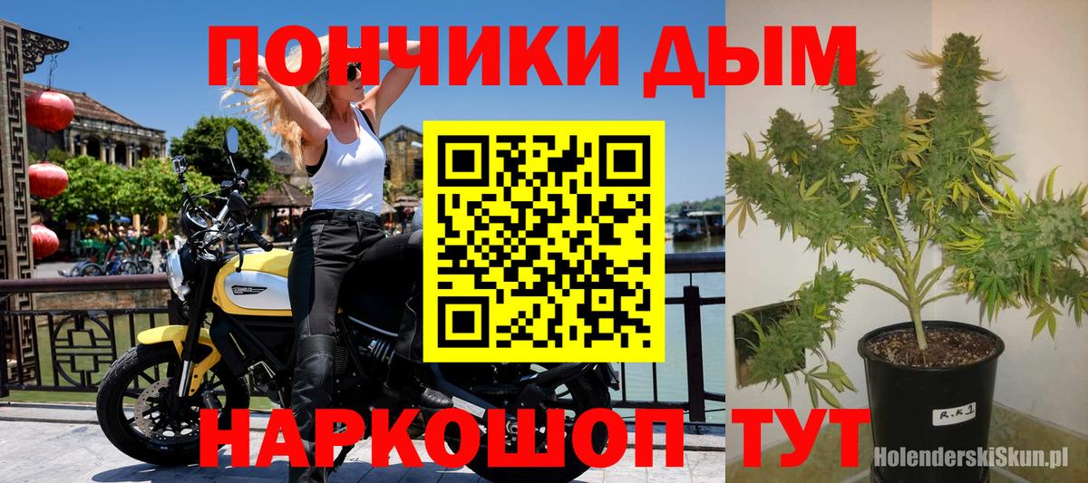 Конопля Amnesia Карачаевск